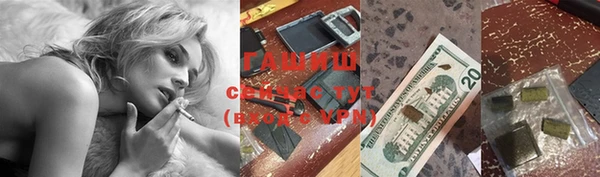 гидра Кодинск