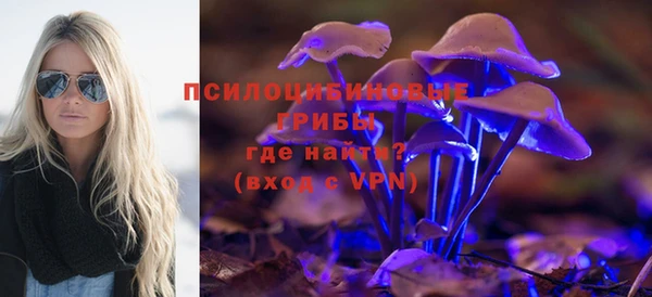 mix Калининец