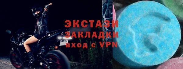 гидра Кодинск