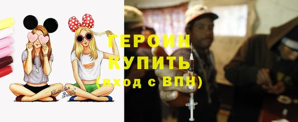 гидра Кодинск