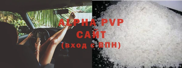 гидра Кодинск