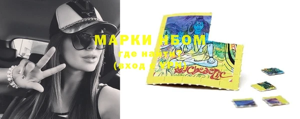 гидра Кодинск
