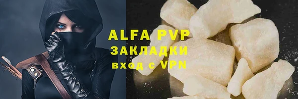 гидра Кодинск