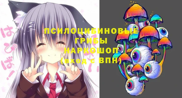 спайс Козельск