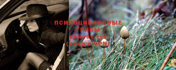 соль курить ск Козловка