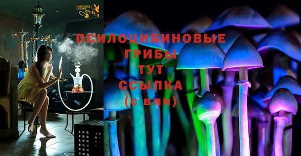 соль курить ск Козловка