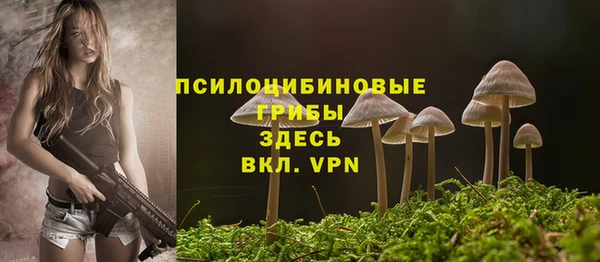 спайс Козельск