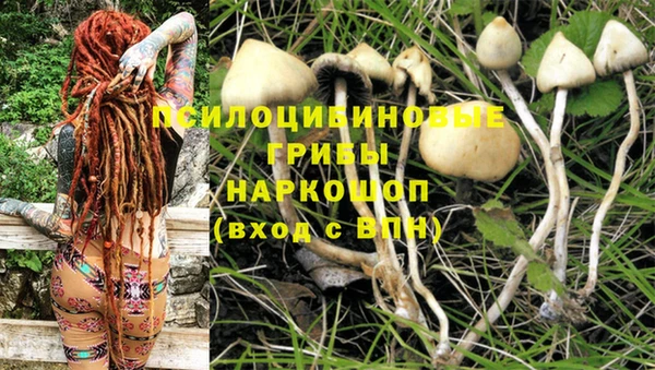 соль курить ск Козловка