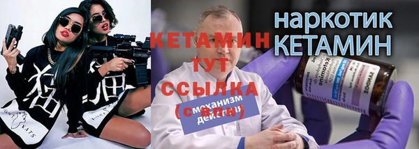 гидра Кодинск