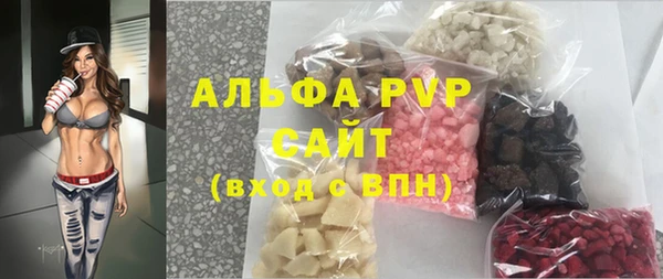 гидра Кодинск