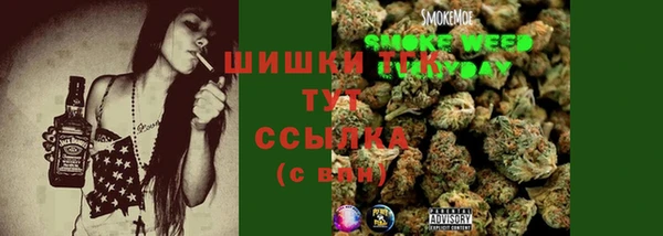 твердый Нестеровская